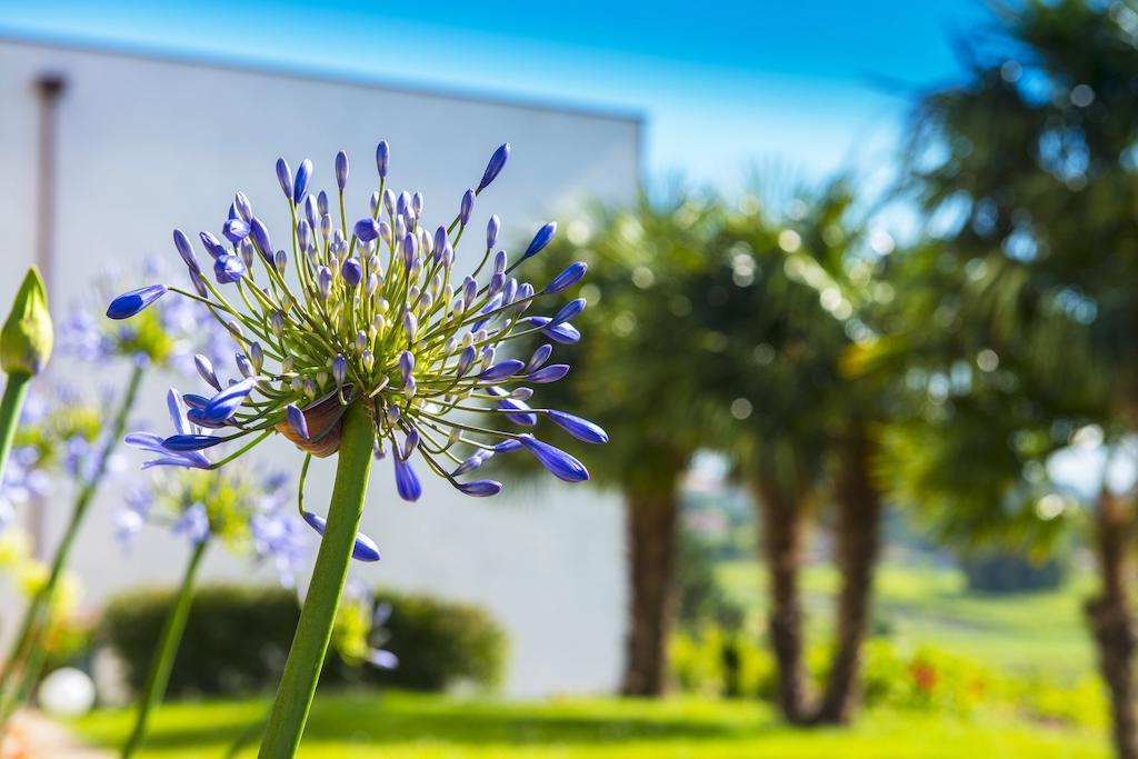 فندق Quinta De San Amaro Rias Baixas Meaño المظهر الخارجي الصورة